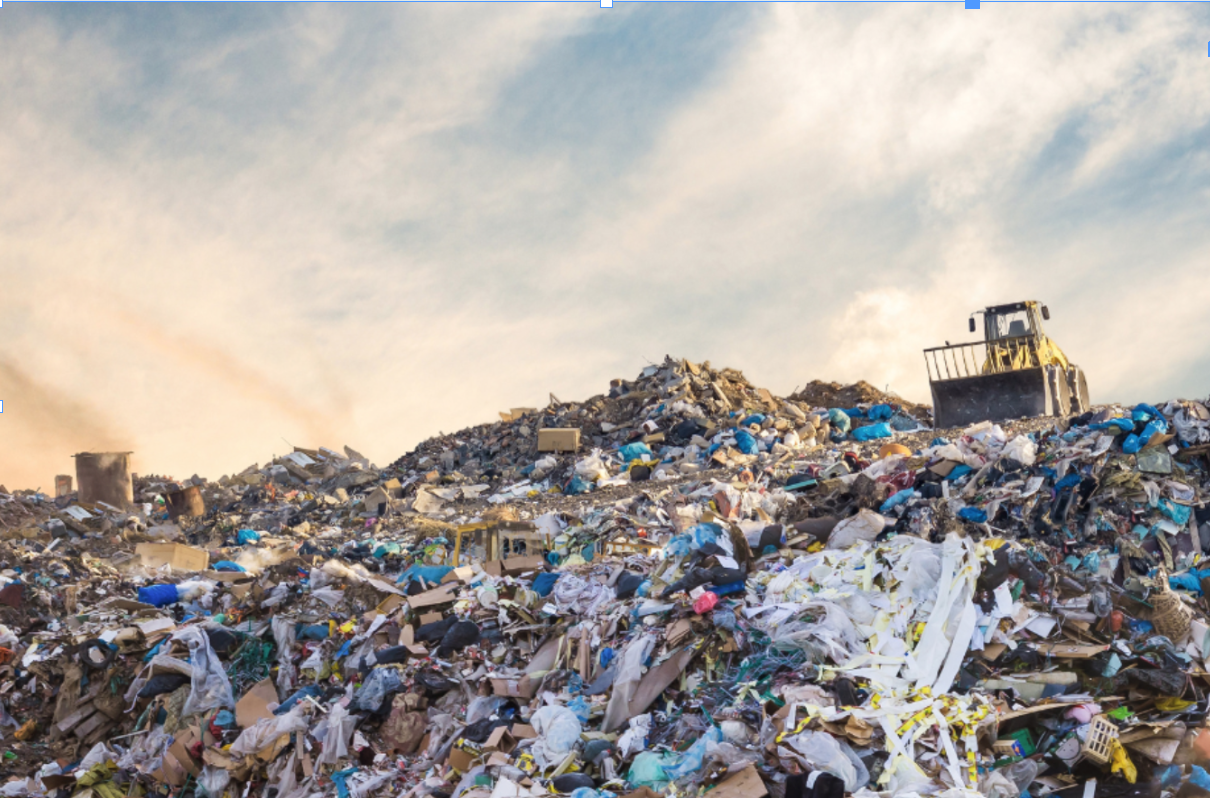 Novità reati ambientali